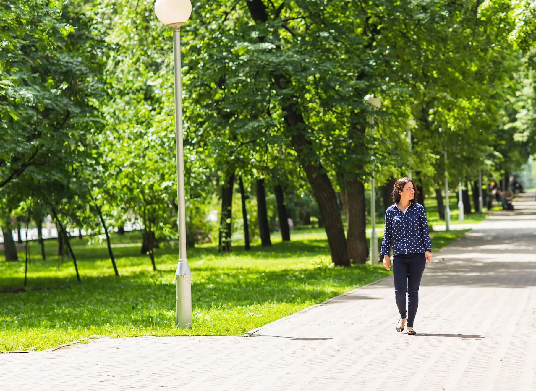 walking-track